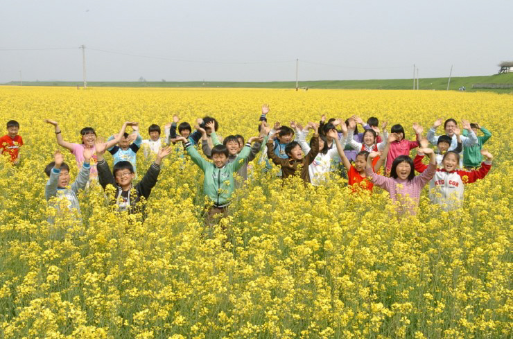 가족과 함께 유채꽃 축제 나들이!