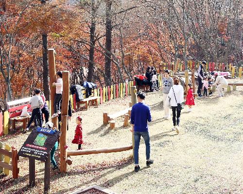 가을 한철 도시에서 사계절 머무는 도시로…정읍시 생활인구 증가